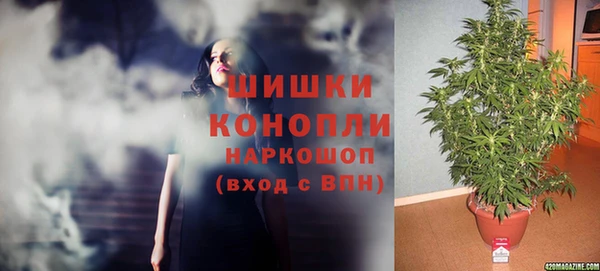 spice Алзамай