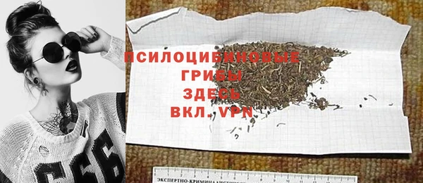 спайс Алексин
