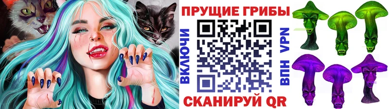 Псилоцибиновые грибы GOLDEN TEACHER  Орехово-Зуево 